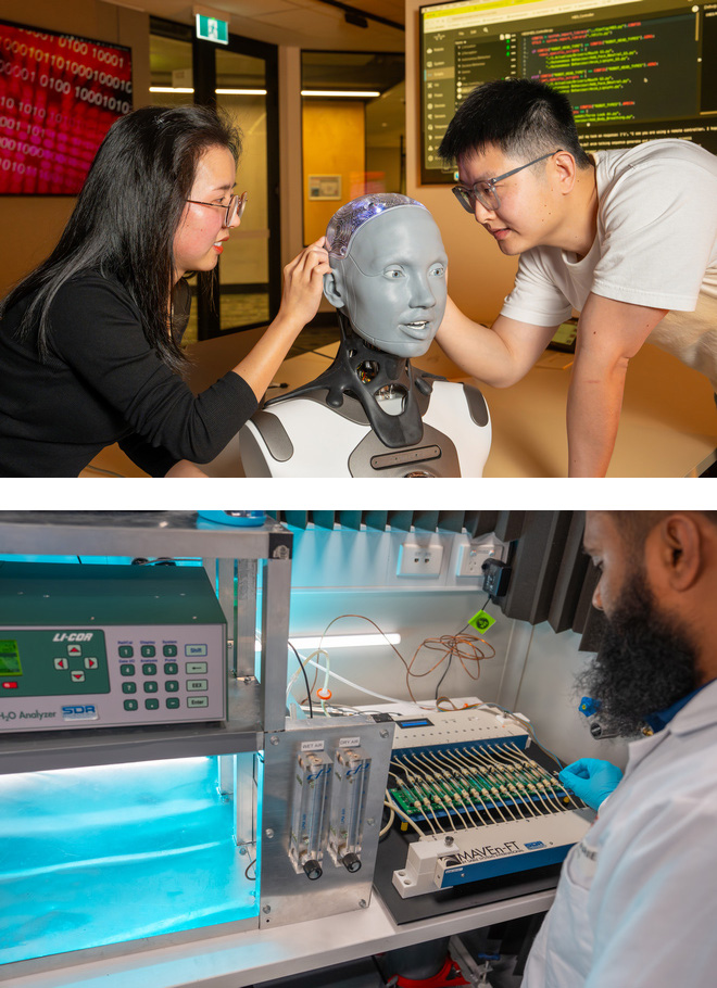 macquarie business school