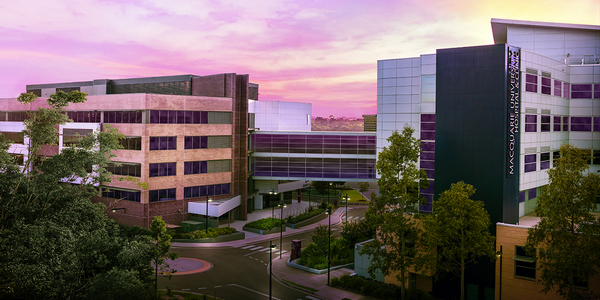 macquarie business school